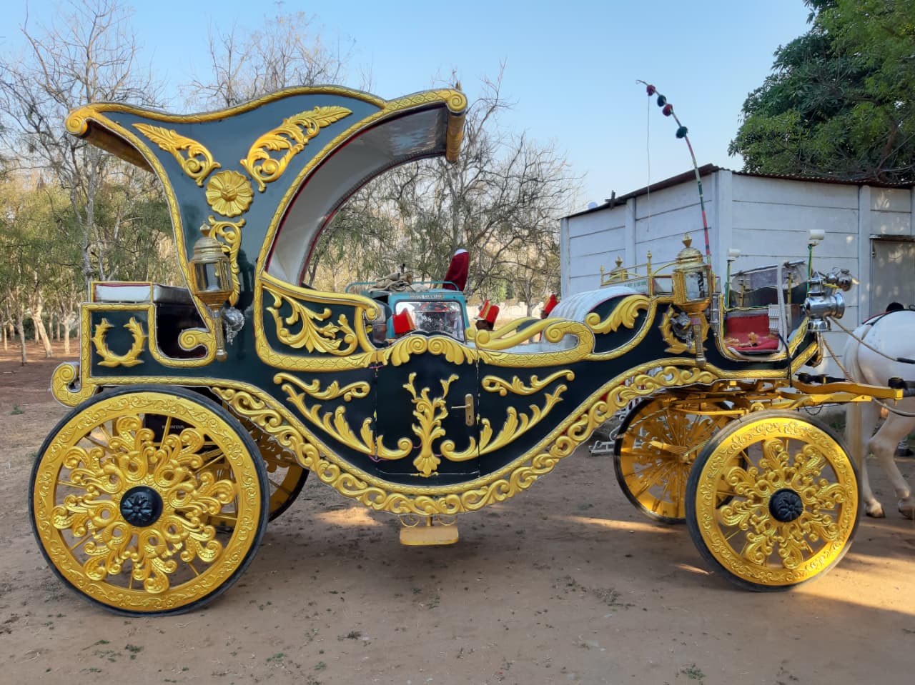 Patiala Green Bagi horse bagi photo 2 - Anand Gujarat